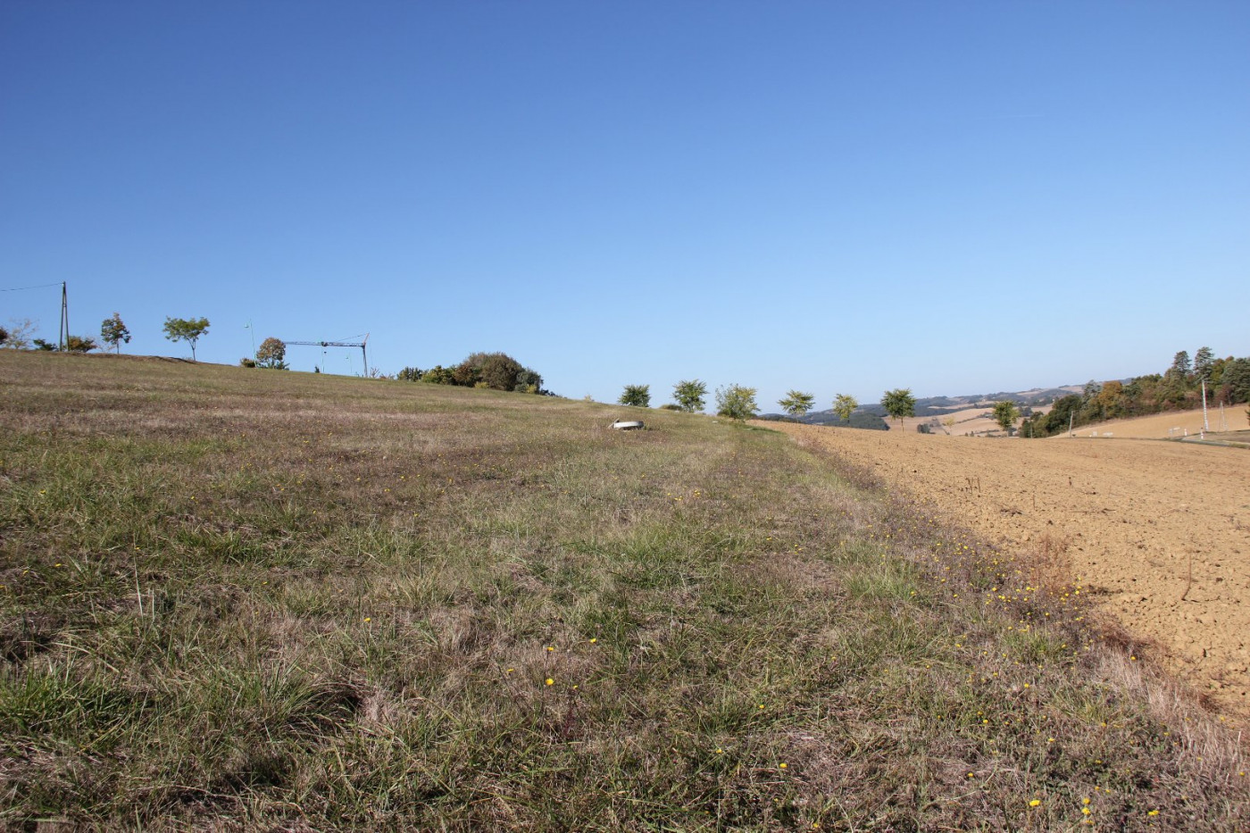 A vendre Lombez | Réf 320071719 - L'occitane immobilier - Photo 3