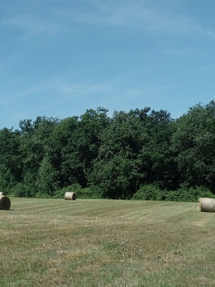 A vendre Lombez | Réf 320071857 - L'occitane immobilier - Photo 3
