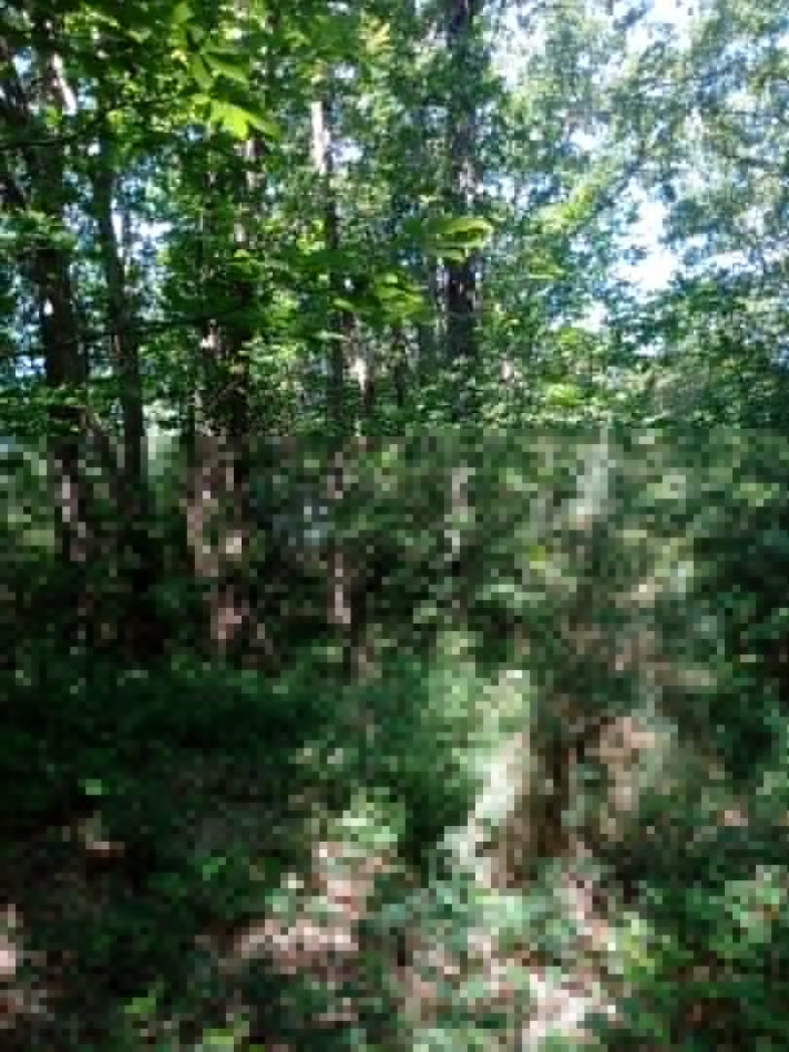 A vendre Lombez | Réf 320071857 - L'occitane immobilier - Photo 2