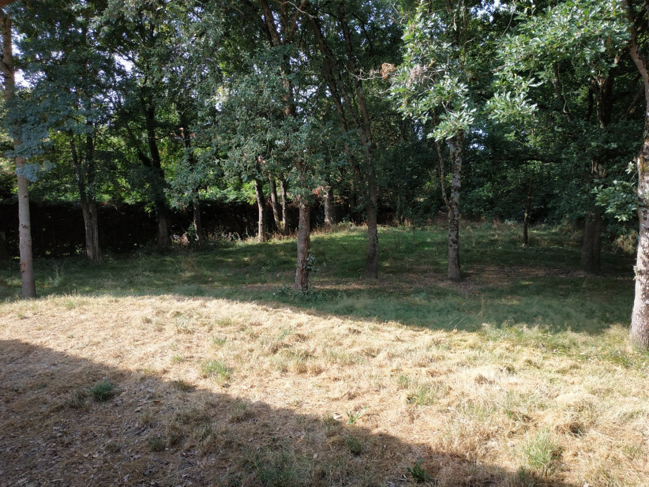 A vendre Saint-lys 320071893 L'occitane immobilier - Photo 3