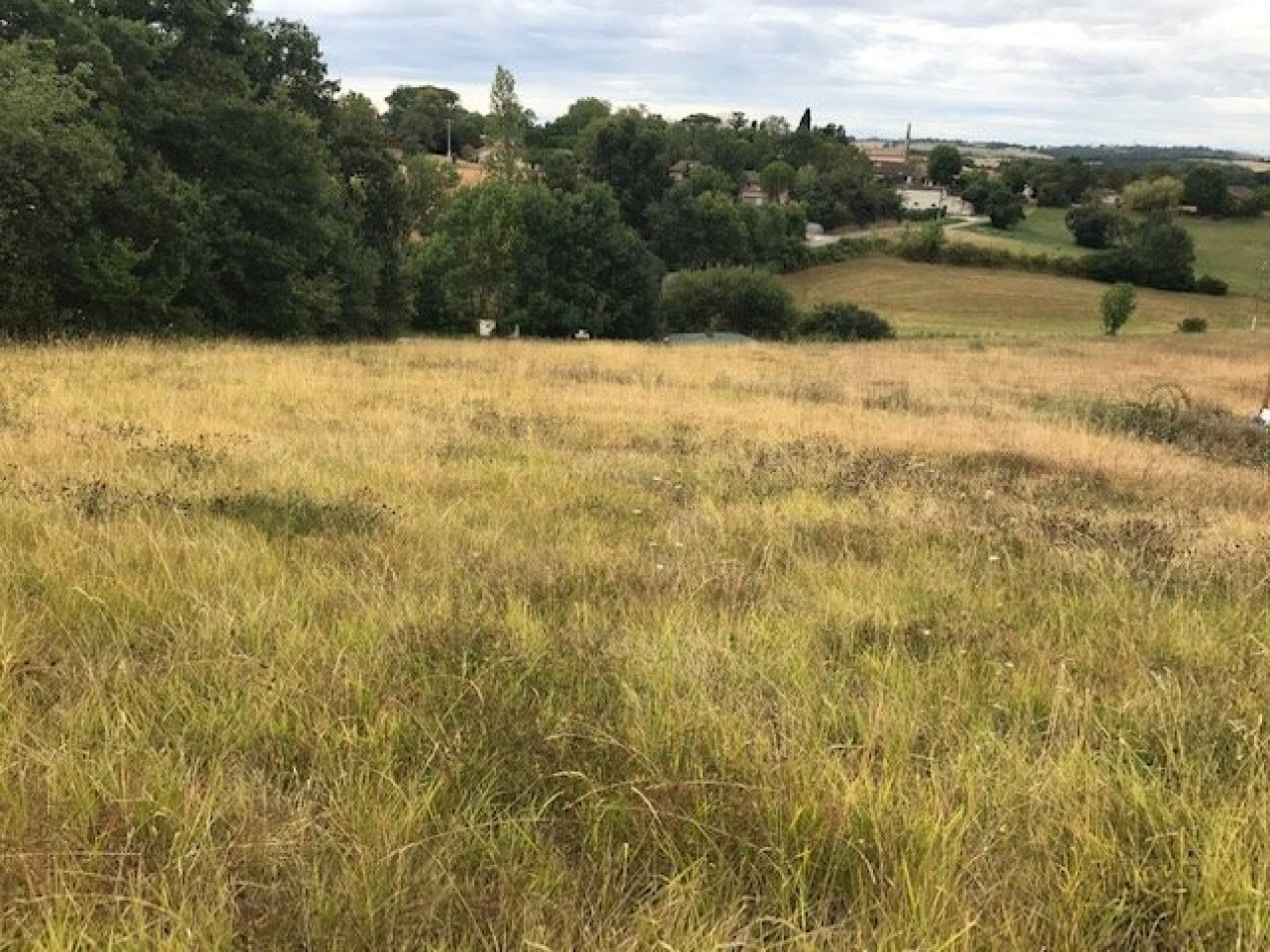 A vendre Gimont 320071921 L'occitane immobilier - Photo 1