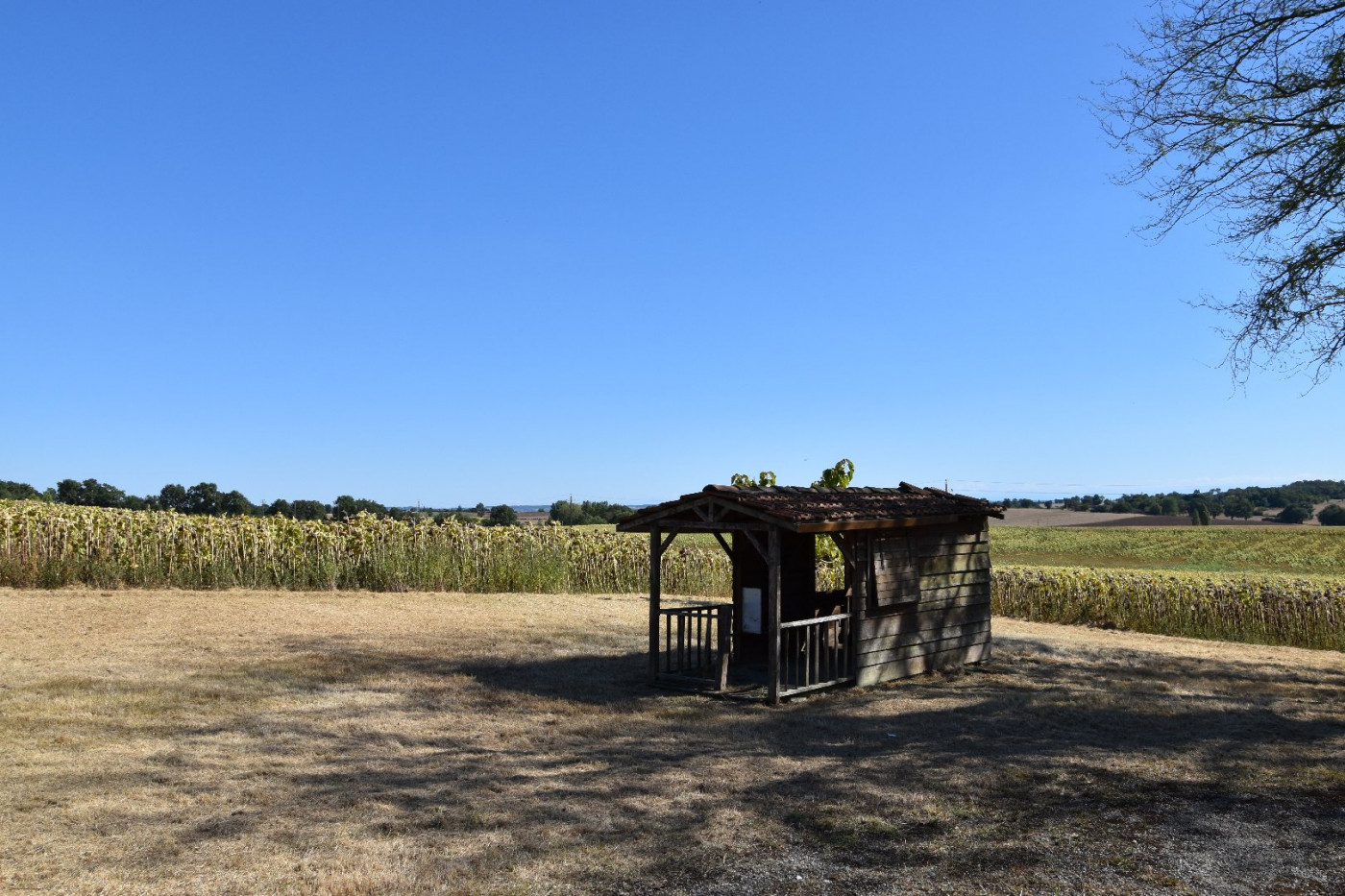 vente Maison L'isle-jourdain - Photo 4