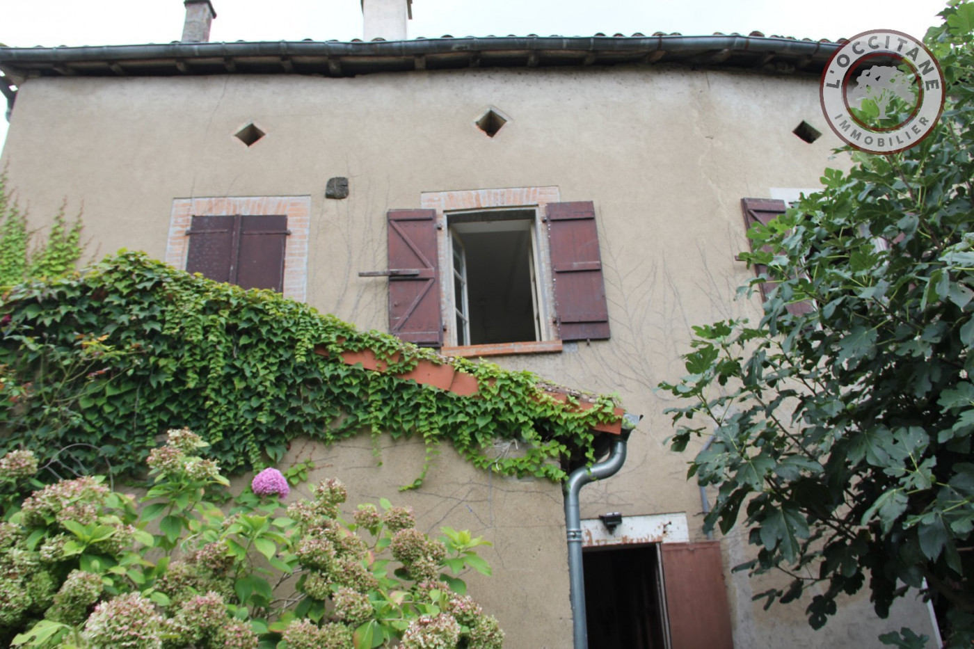 A vendre L'isle En Dodon 320071939 L'occitane immobilier - Photo 1