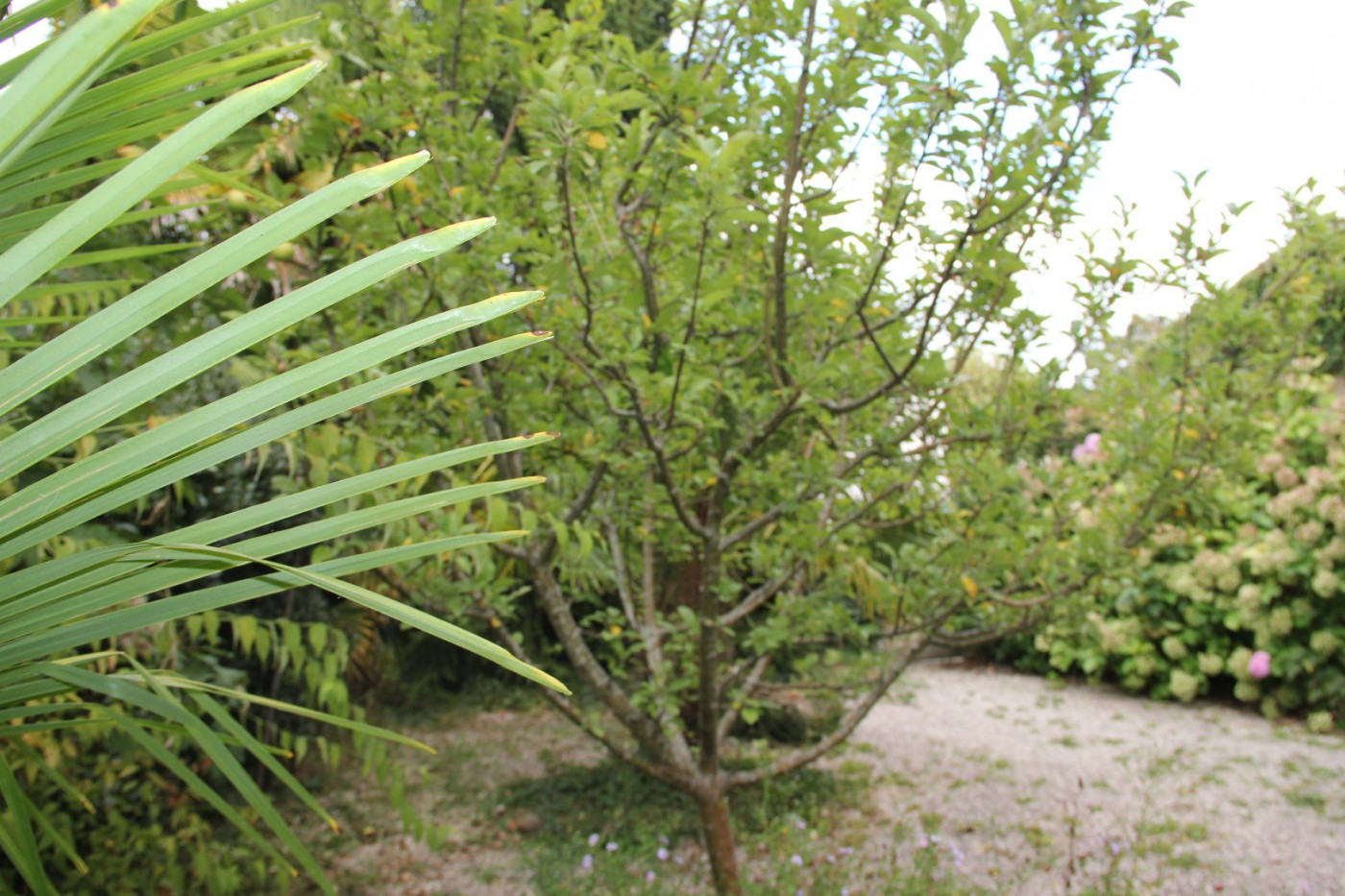 A vendre L'isle En Dodon 320071939 L'occitane immobilier - Photo 8