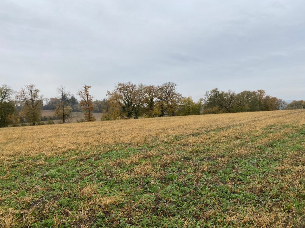 A vendre Lombez 320072019 L'occitane immobilier - Photo 1