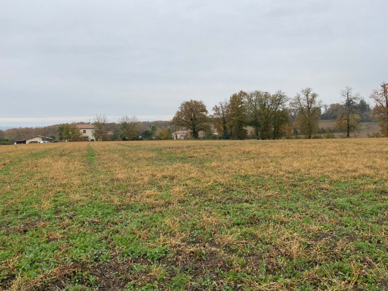 A vendre Lombez 320072019 L'occitane immobilier - Photo 2
