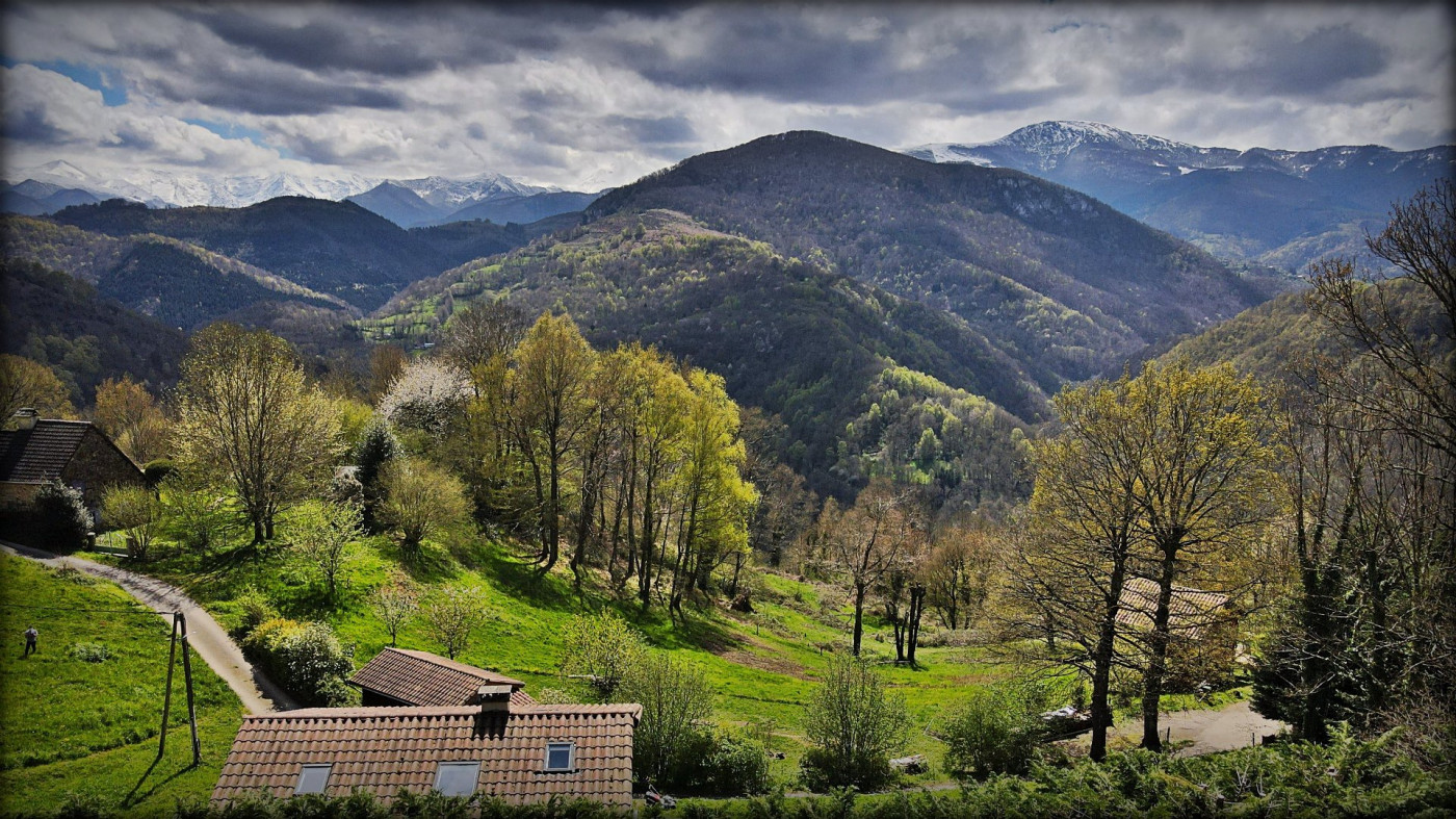 A vendre Erp | Réf 320072070 - L'occitane immobilier - Photo 2