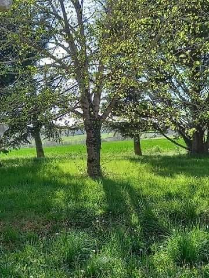 A vendre Mirande | Réf 320072119 - L'occitane immobilier - Photo 3
