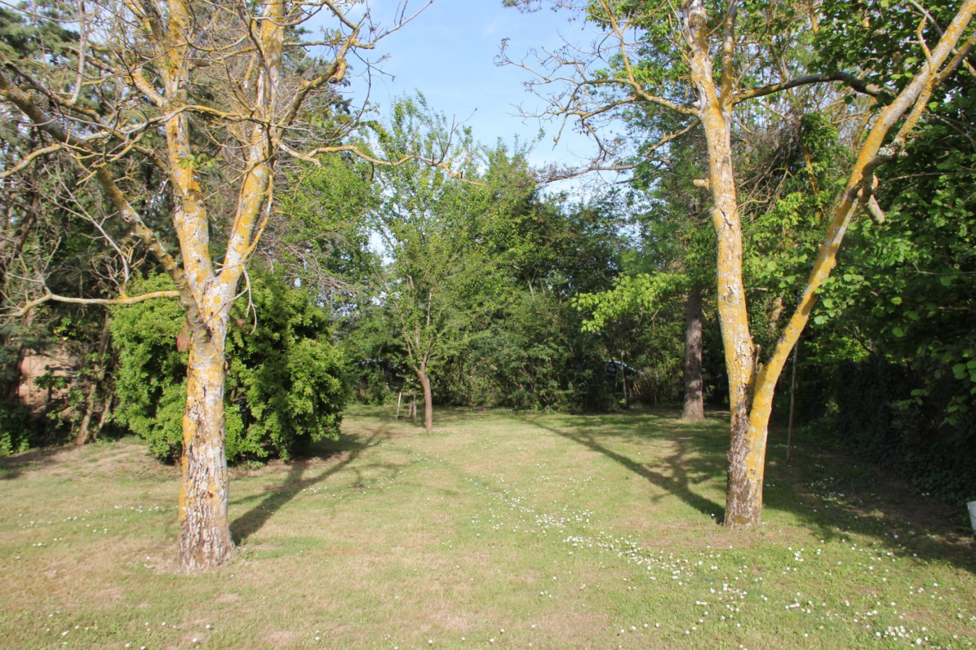 A vendre Samatan | Réf 320072139 - L'occitane immobilier - Photo 3