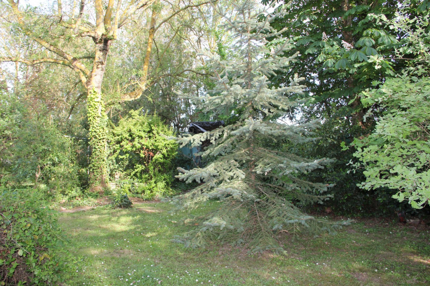 A vendre Samatan | Réf 320072139 - L'occitane immobilier - Photo 5