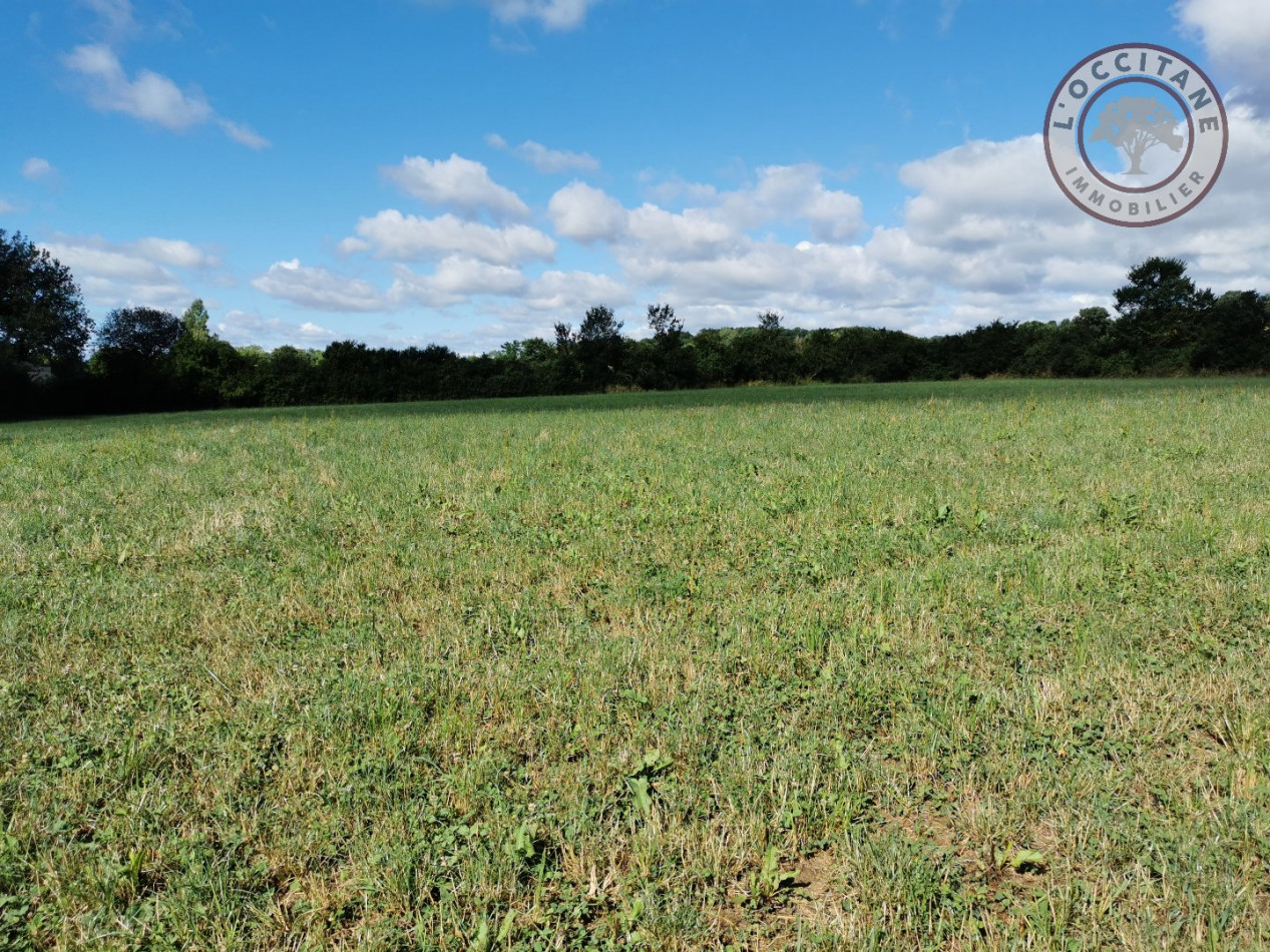 A vendre L'isle En Dodon | Réf 320072182 - L'occitane immobilier - Photo 1