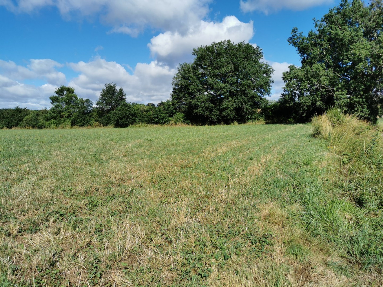 A vendre L'isle En Dodon | Réf 320072182 - L'occitane immobilier - Photo 2