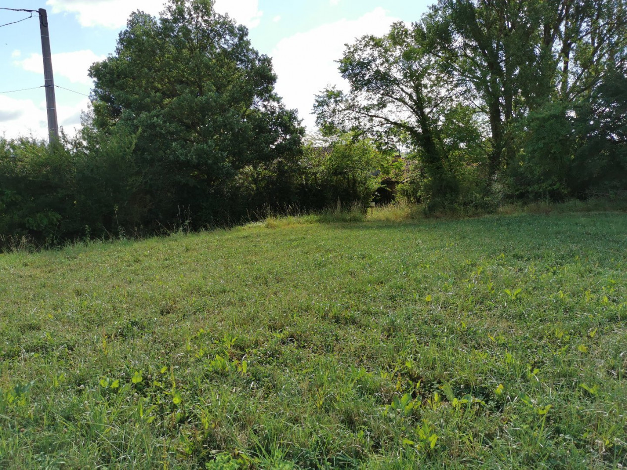 A vendre L'isle En Dodon | Réf 320072182 - L'occitane immobilier - Photo 3