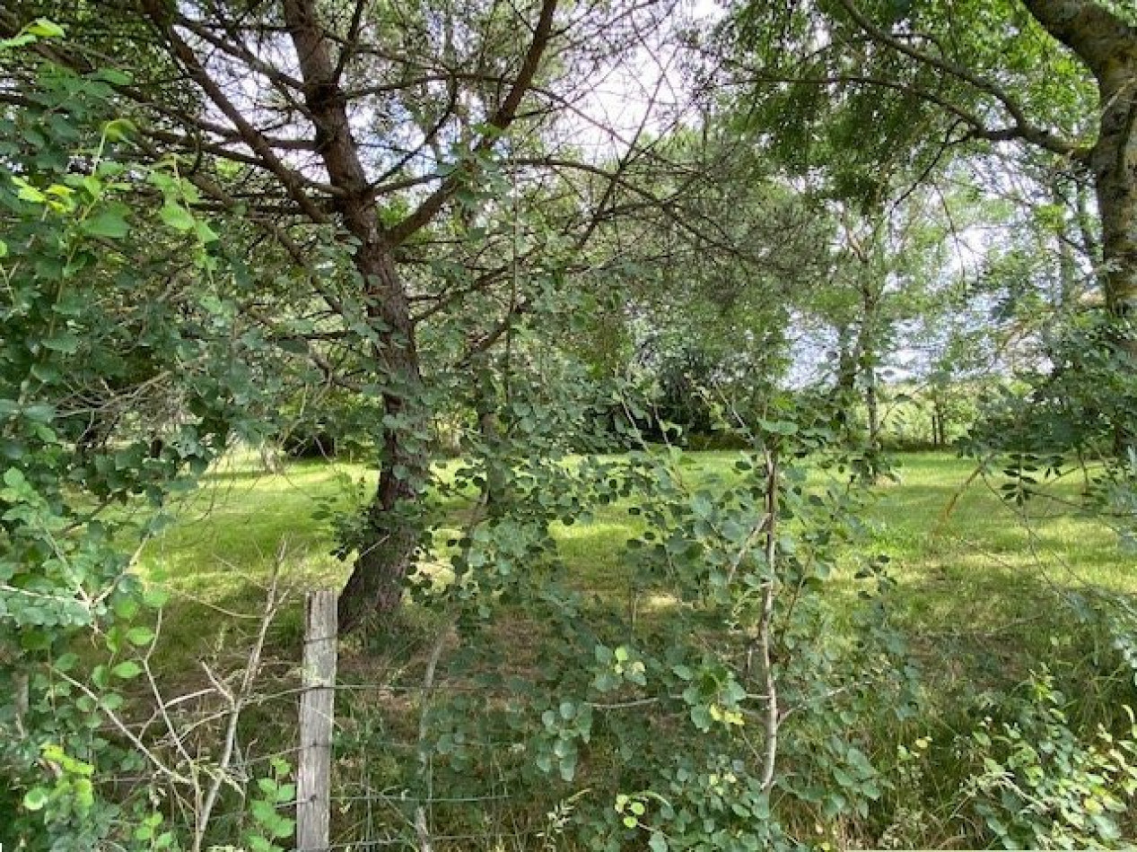 A vendre Saint-lys | Réf 320072183 - L'occitane immobilier - Photo 2