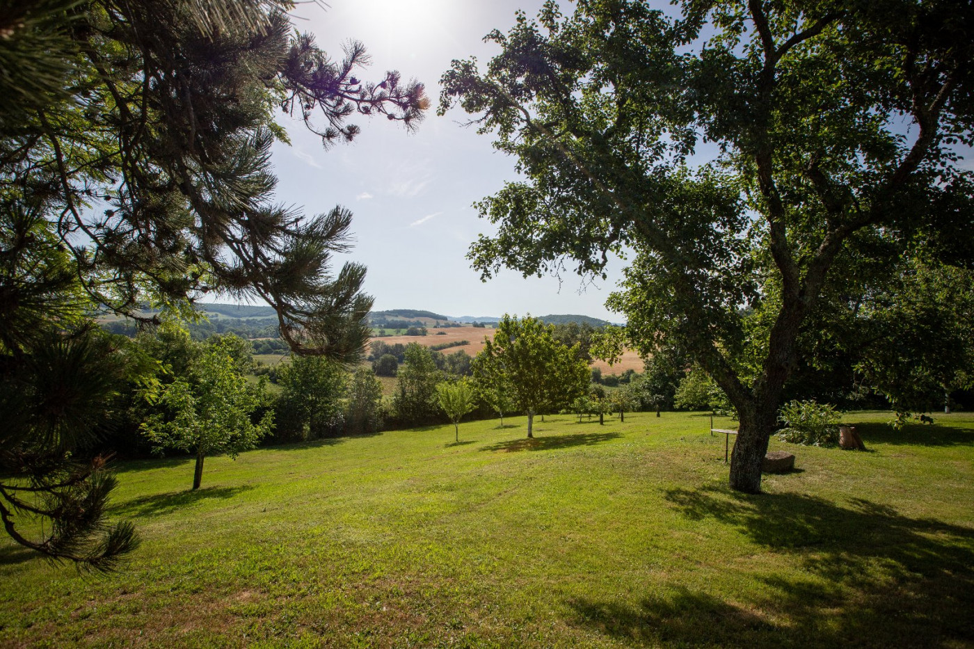 A vendre Auch | Réf 320072196 - L'occitane immobilier - Photo 4