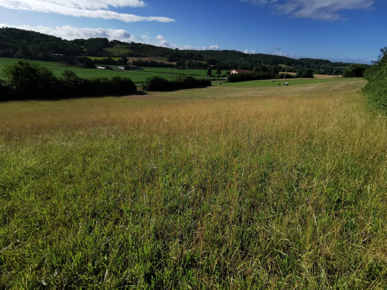 A vendre Simorre | Réf 320072201 - L'occitane immobilier - Photo 2