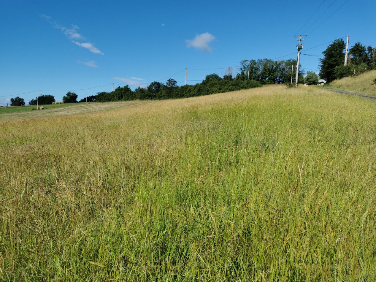 A vendre Simorre | Réf 320072201 - L'occitane immobilier - Photo 3