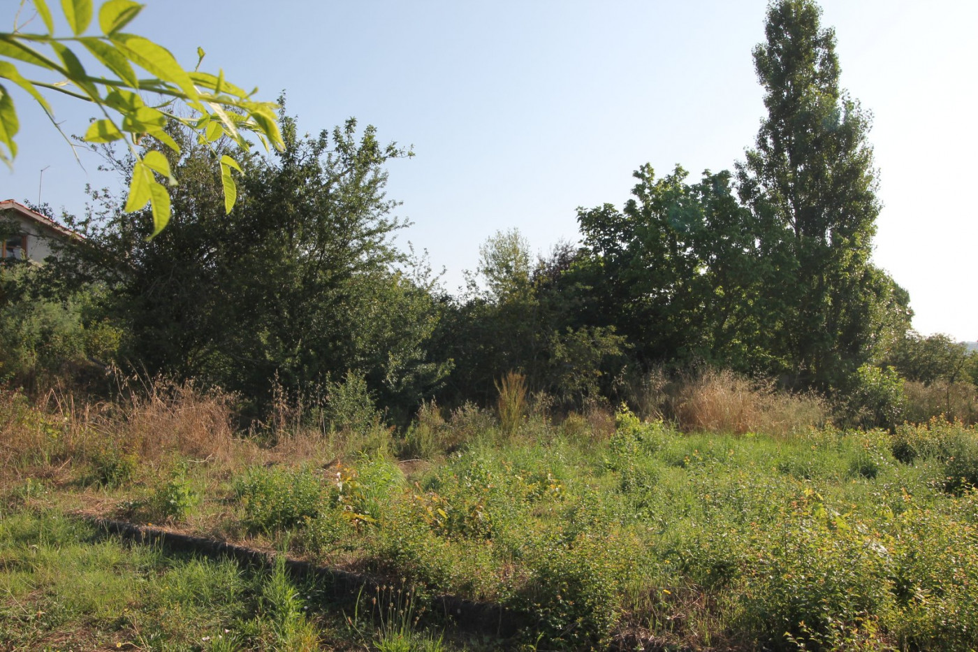 A vendre Gimont | Réf 320072225 - L'occitane immobilier - Photo 4