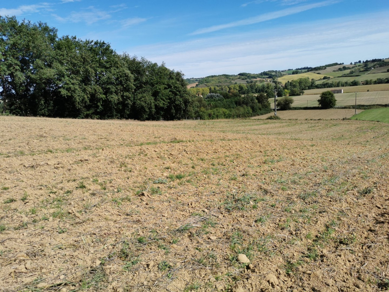 A vendre L'isle En Dodon | Réf 320072247 - L'occitane immobilier - Photo 2