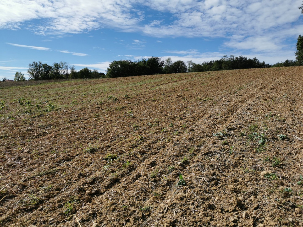 A vendre L'isle En Dodon | Réf 320072247 - L'occitane immobilier - Photo 3