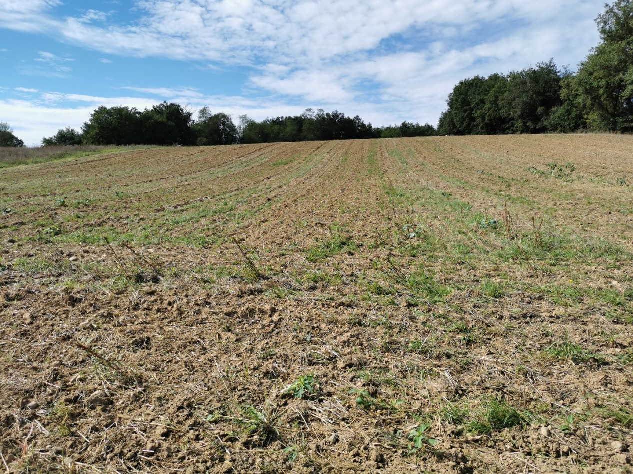 A vendre L'isle En Dodon | Réf 320072247 - L'occitane immobilier - Photo 4