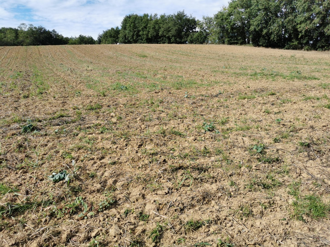 A vendre L'isle En Dodon | Réf 320072247 - L'occitane immobilier - Photo 5