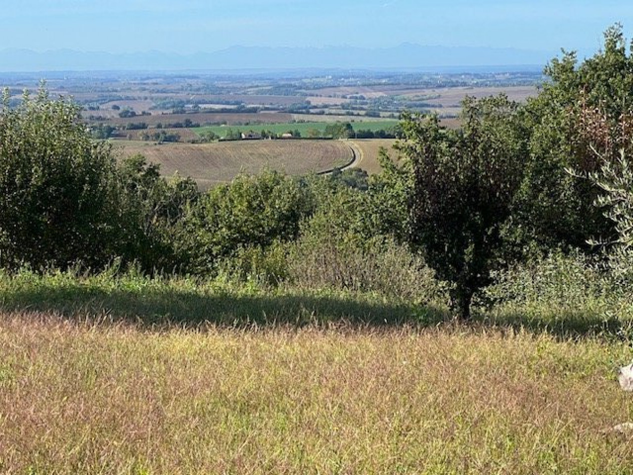 vente Terrain Cadours - Photo 4