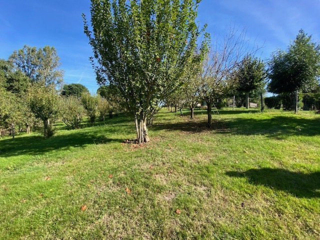 vente Terrain Cadours - Photo 6