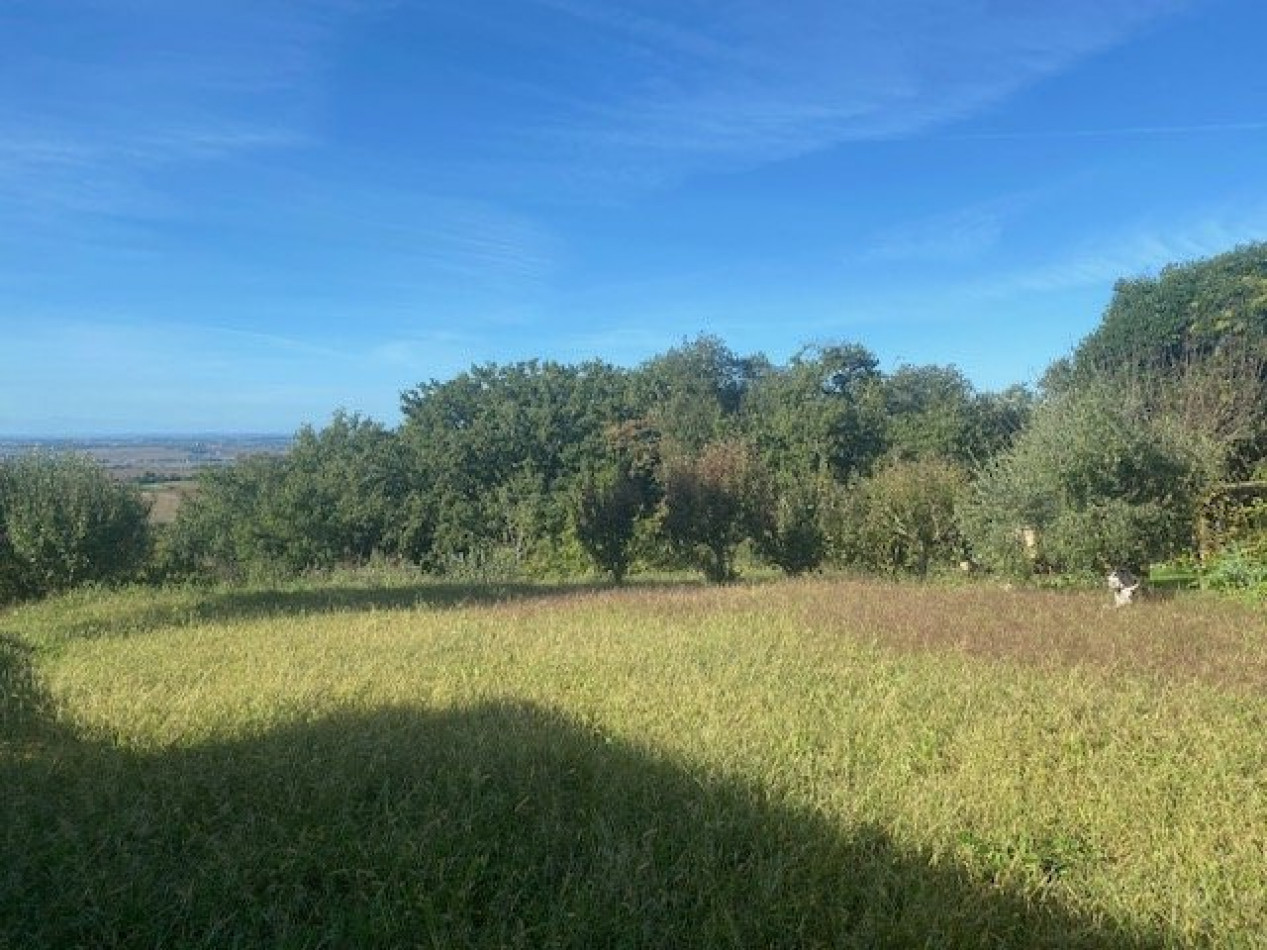 vente Terrain Cadours - Photo 2