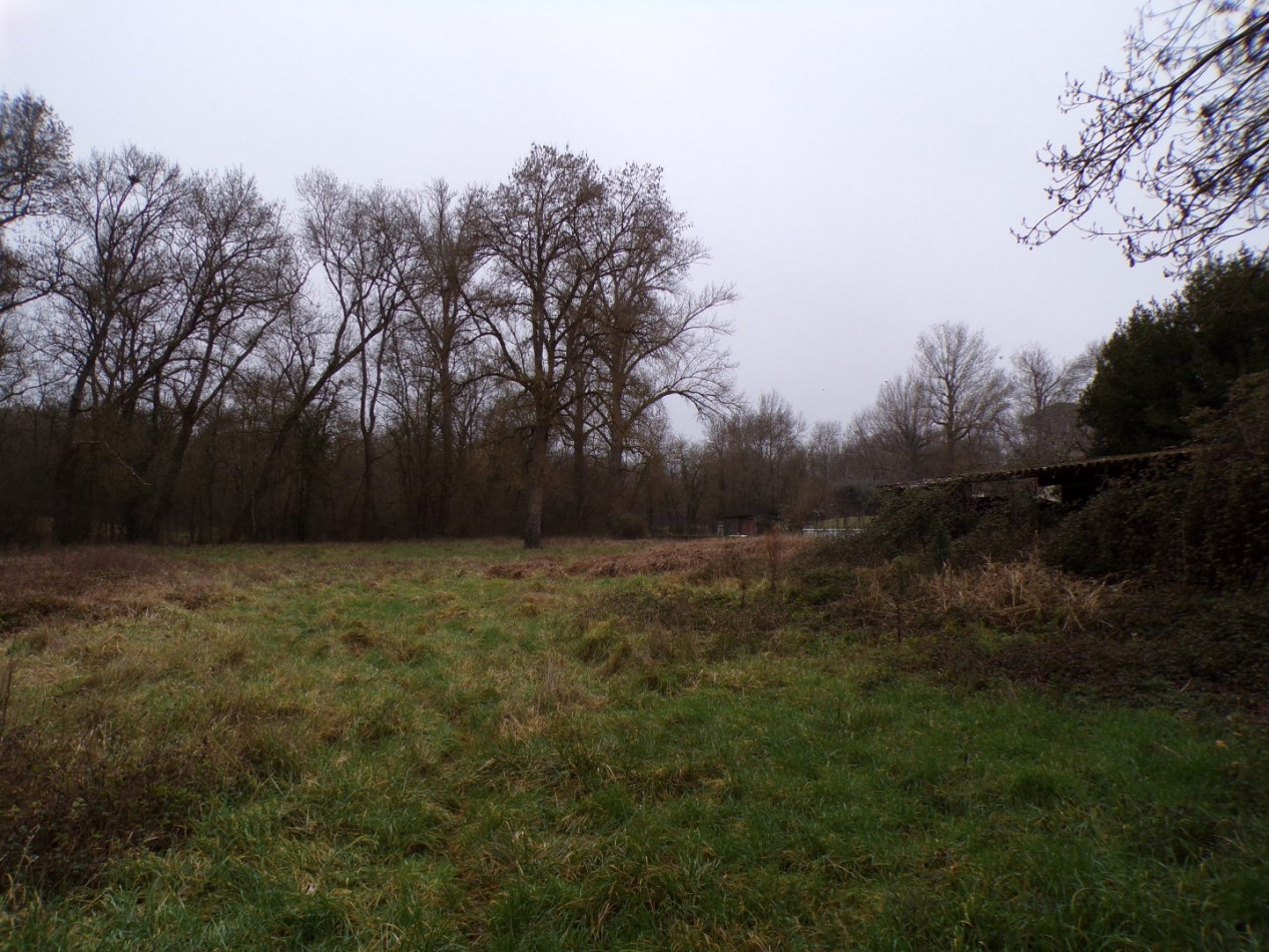 vente Terrain constructible Fleurance - Photo 3