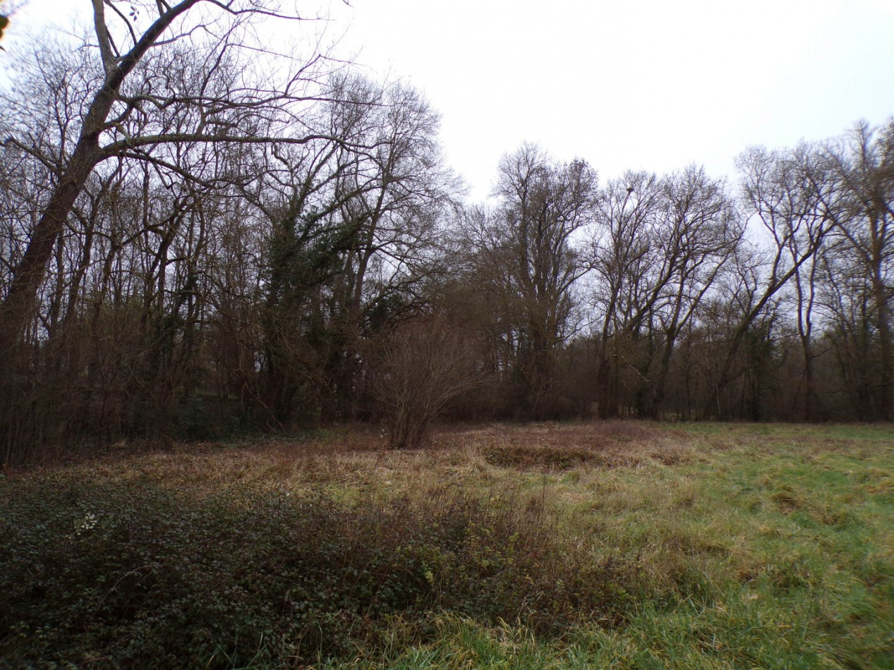 vente Terrain constructible Fleurance - Photo 1