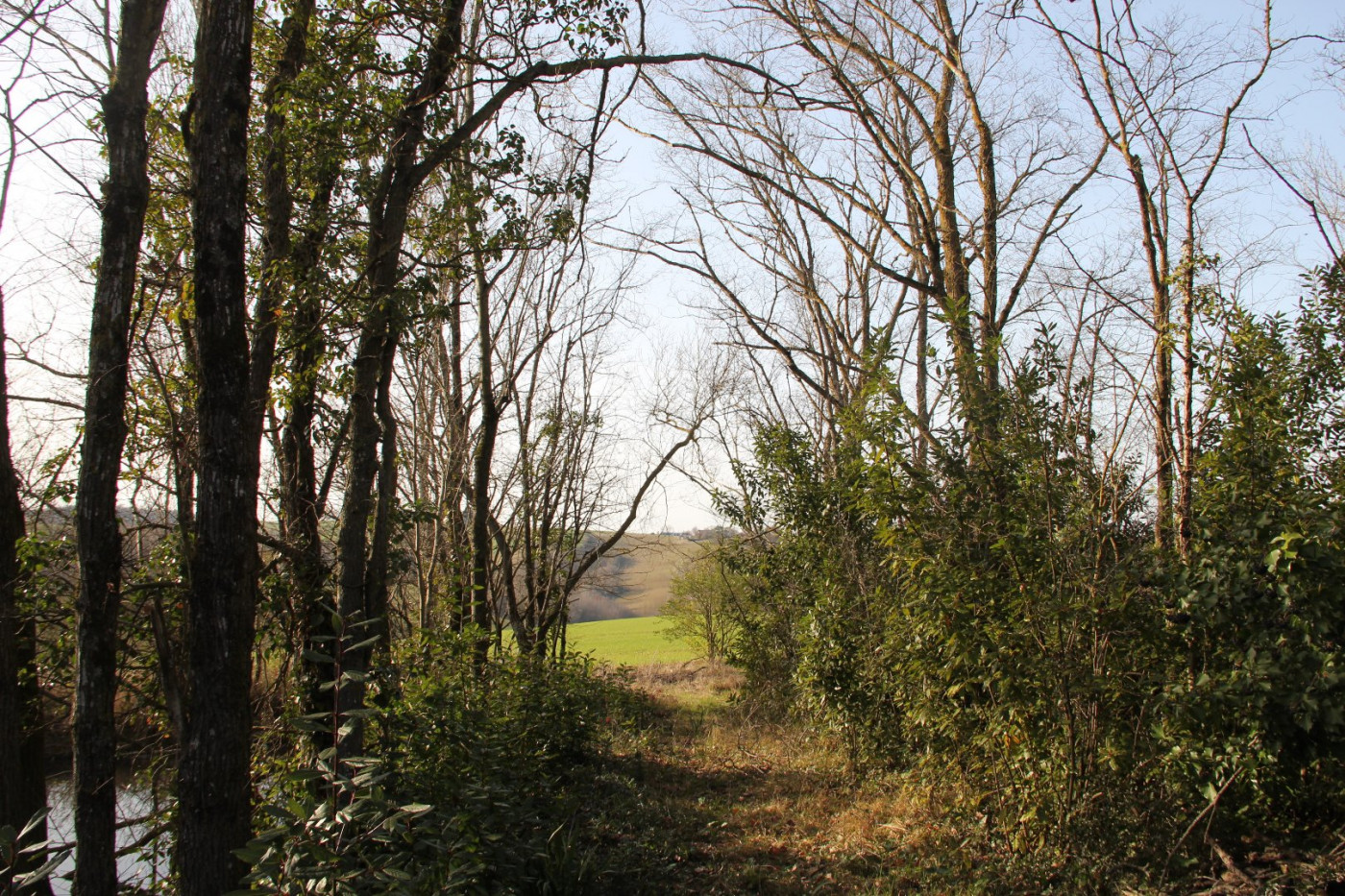 vente Maison Lombez - Photo 2