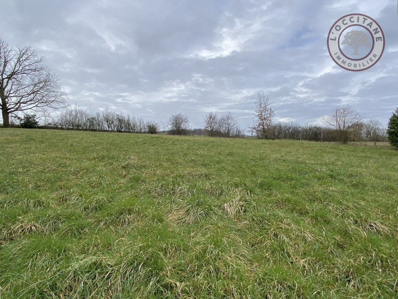 vente Maison de caractère L'isle En Dodon - Photo 4