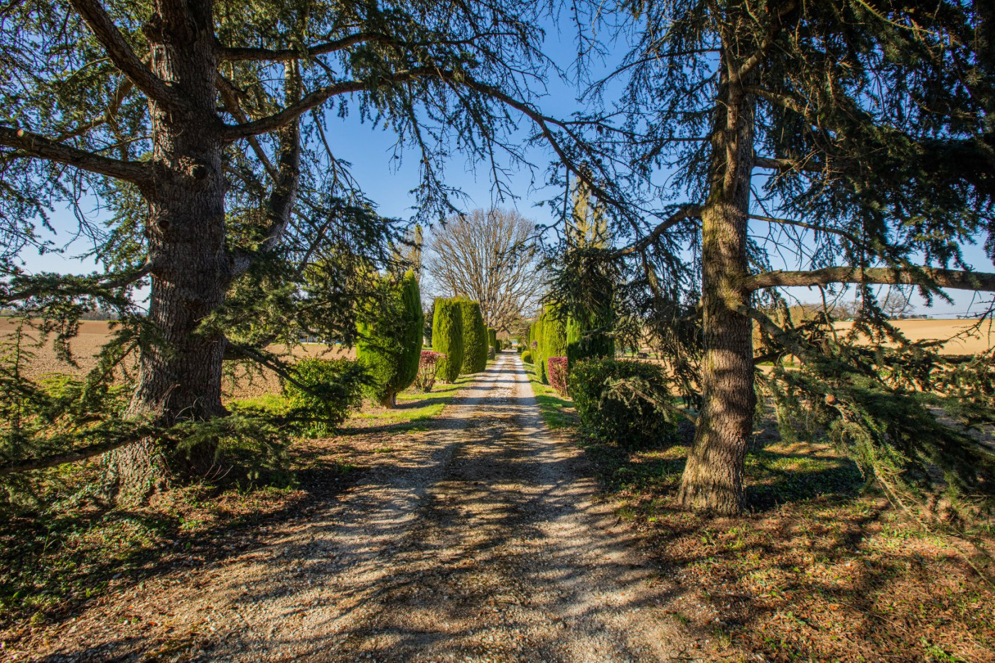 A vendre Auch | Réf 320072375 - L'occitane immobilier - Photo 2