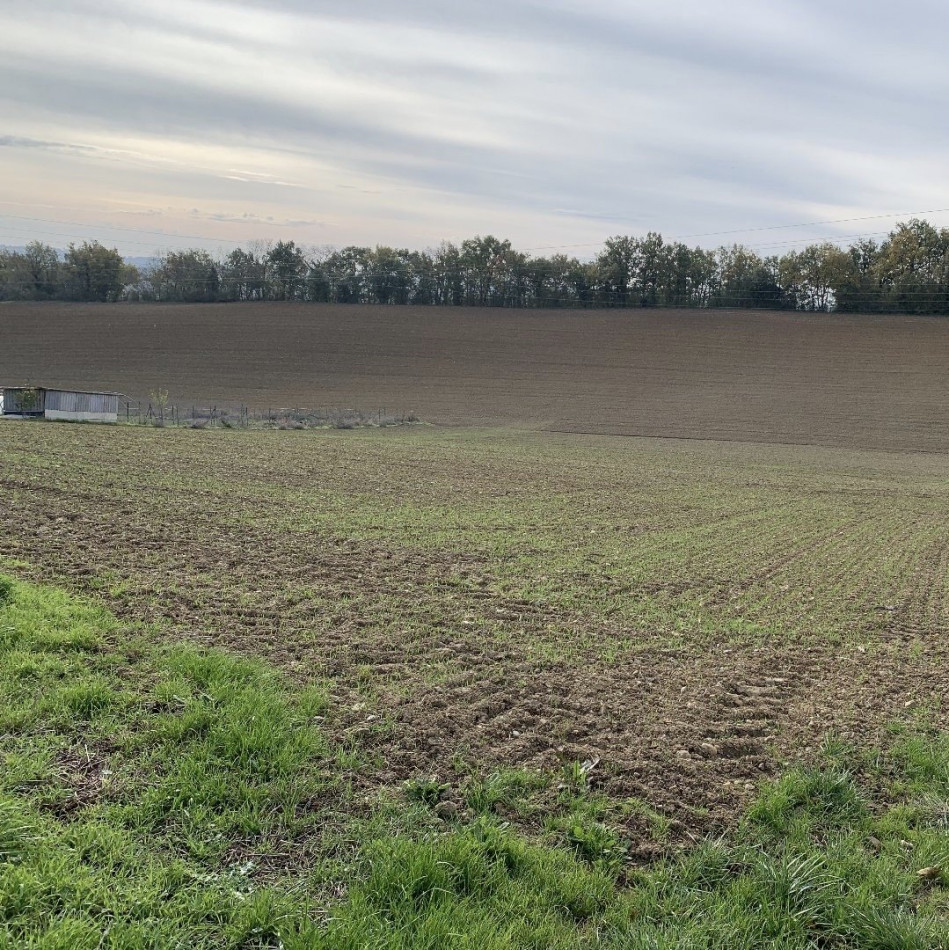 A vendre Mauvezin | Réf 320072382 - L'occitane immobilier - Photo 1