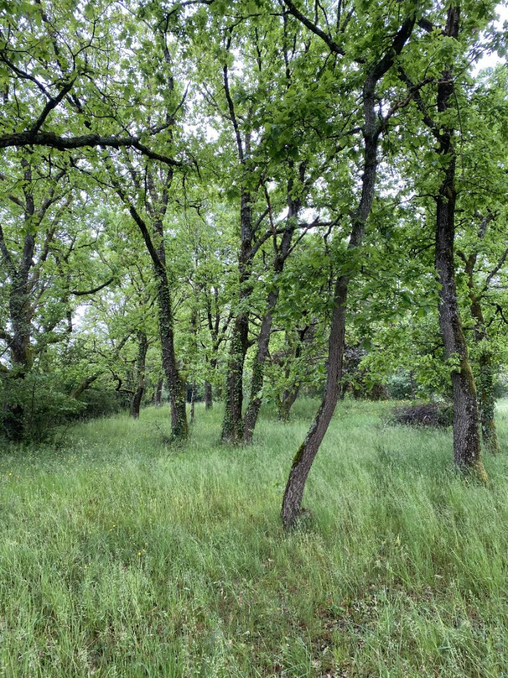 vente Terrain constructible L'isle-jourdain - Photo 1