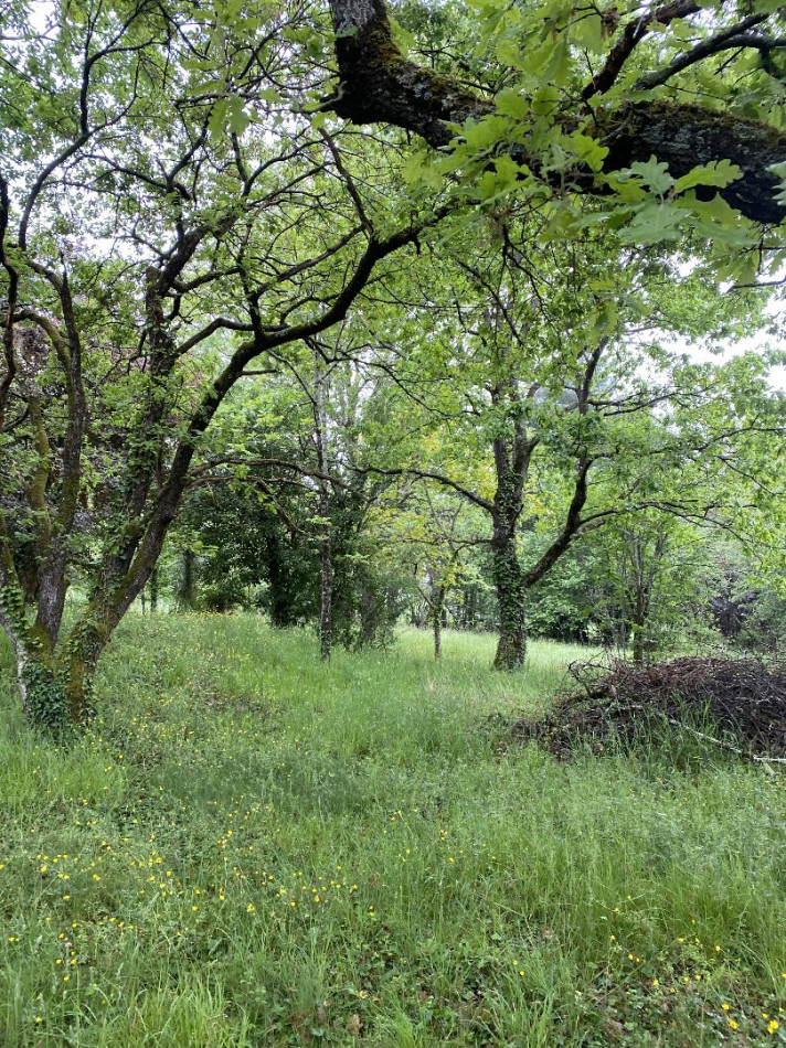 vente Terrain constructible L'isle-jourdain - Photo 3