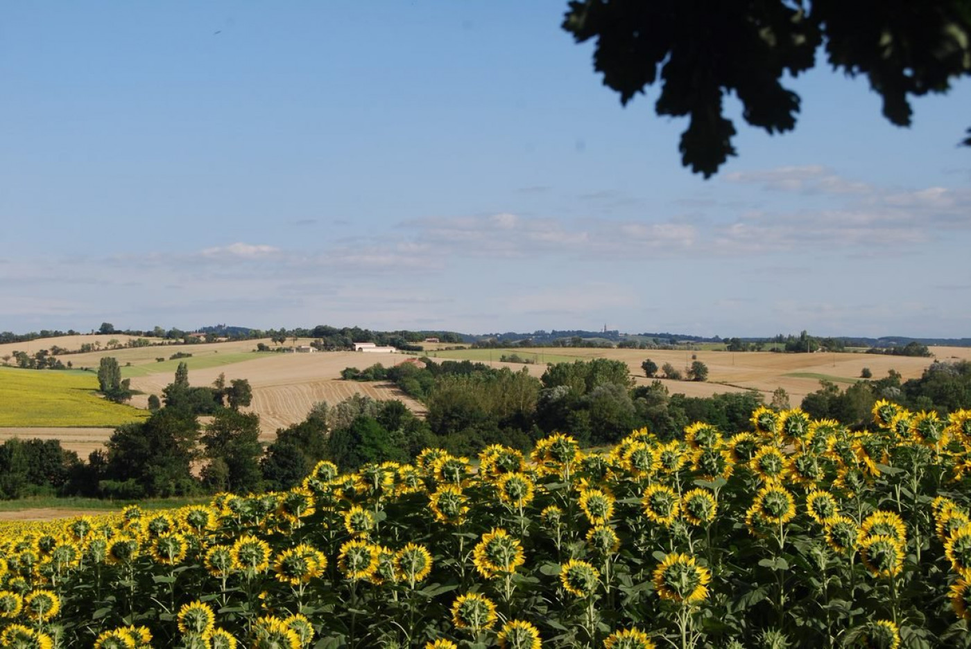 vente Maison L'isle-jourdain - Photo 2