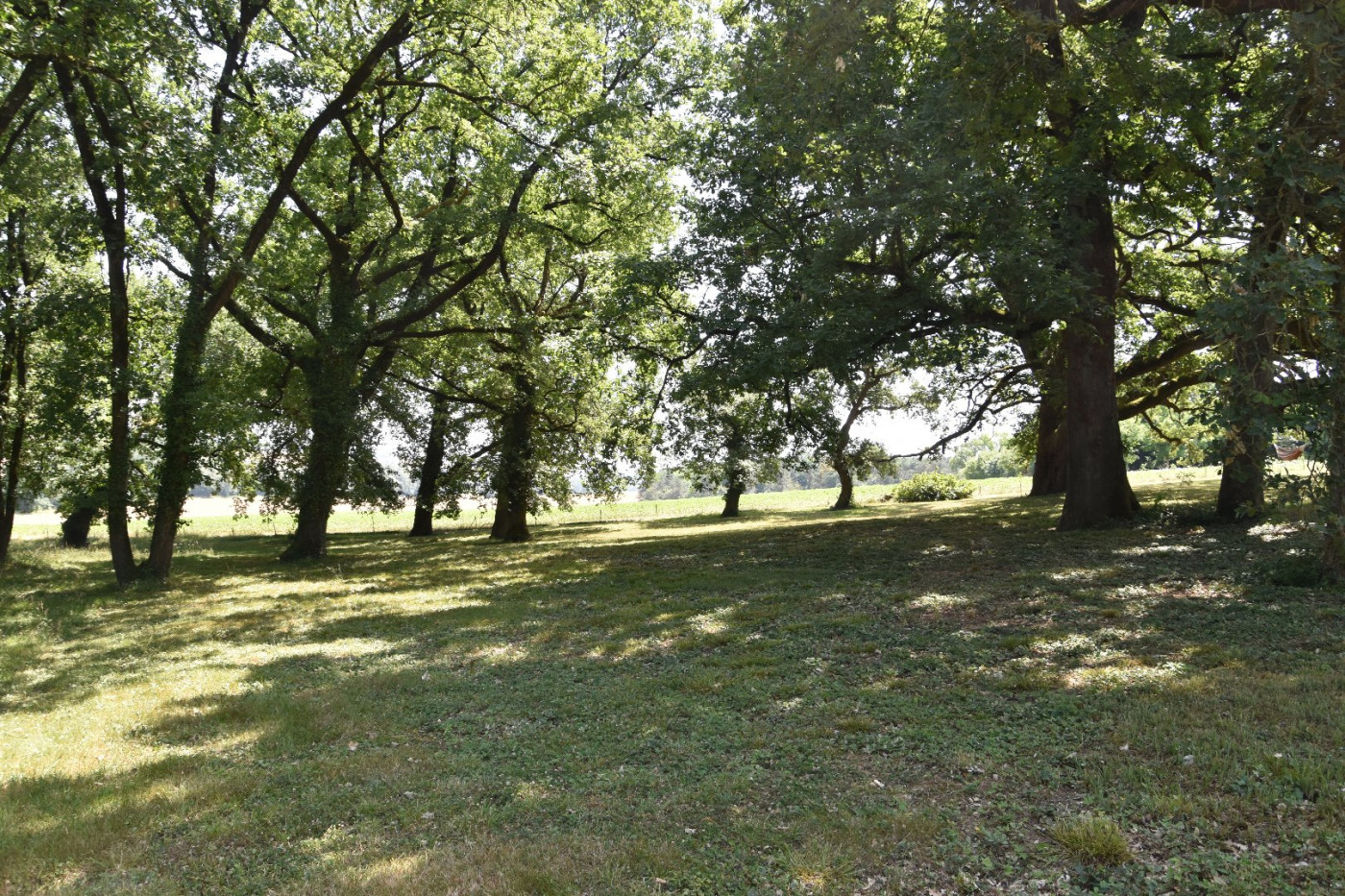 vente Maison L'isle-jourdain - Photo 5