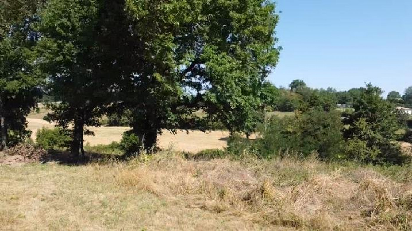 vente Terrain constructible L'isle En Dodon - Photo 4