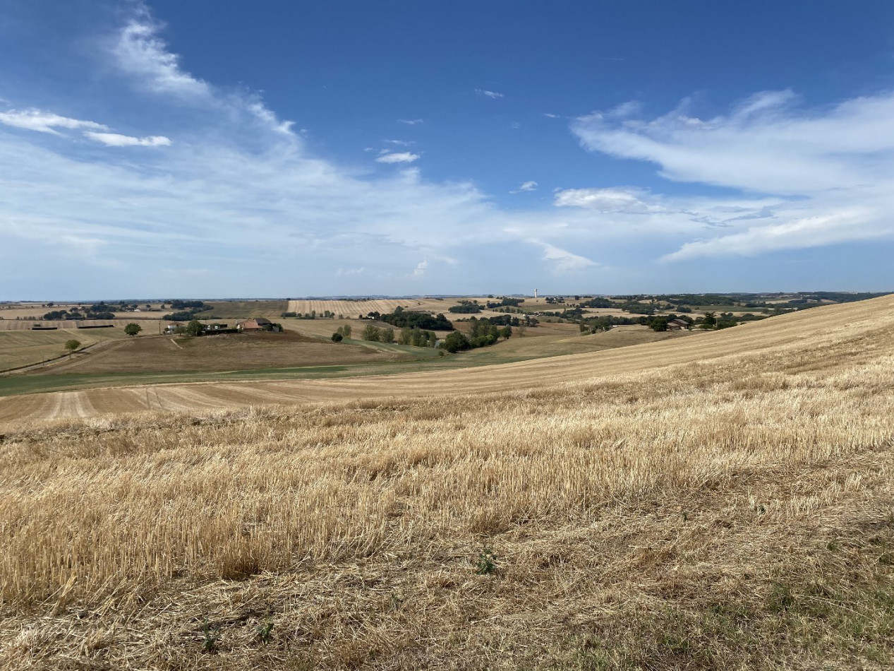 vente Maison de caractère Beaumont De Lomagne - Photo 2