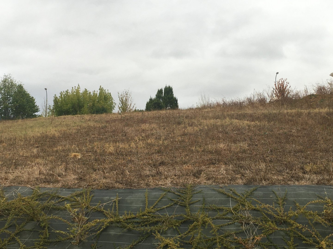 vente Terrain Auch - Photo 1