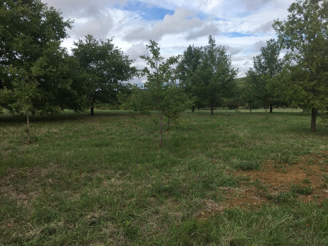 vente Terrain constructible Auch - Photo 2