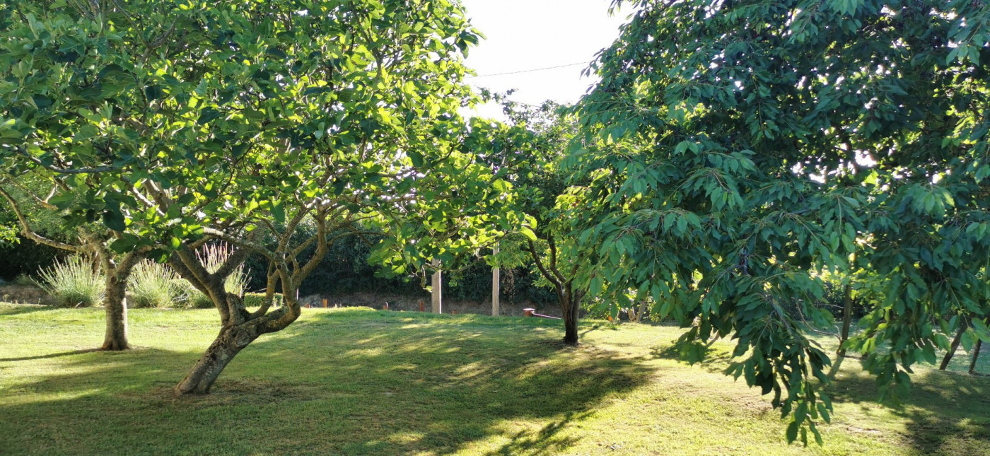 vente Maison Saramon - Photo 6