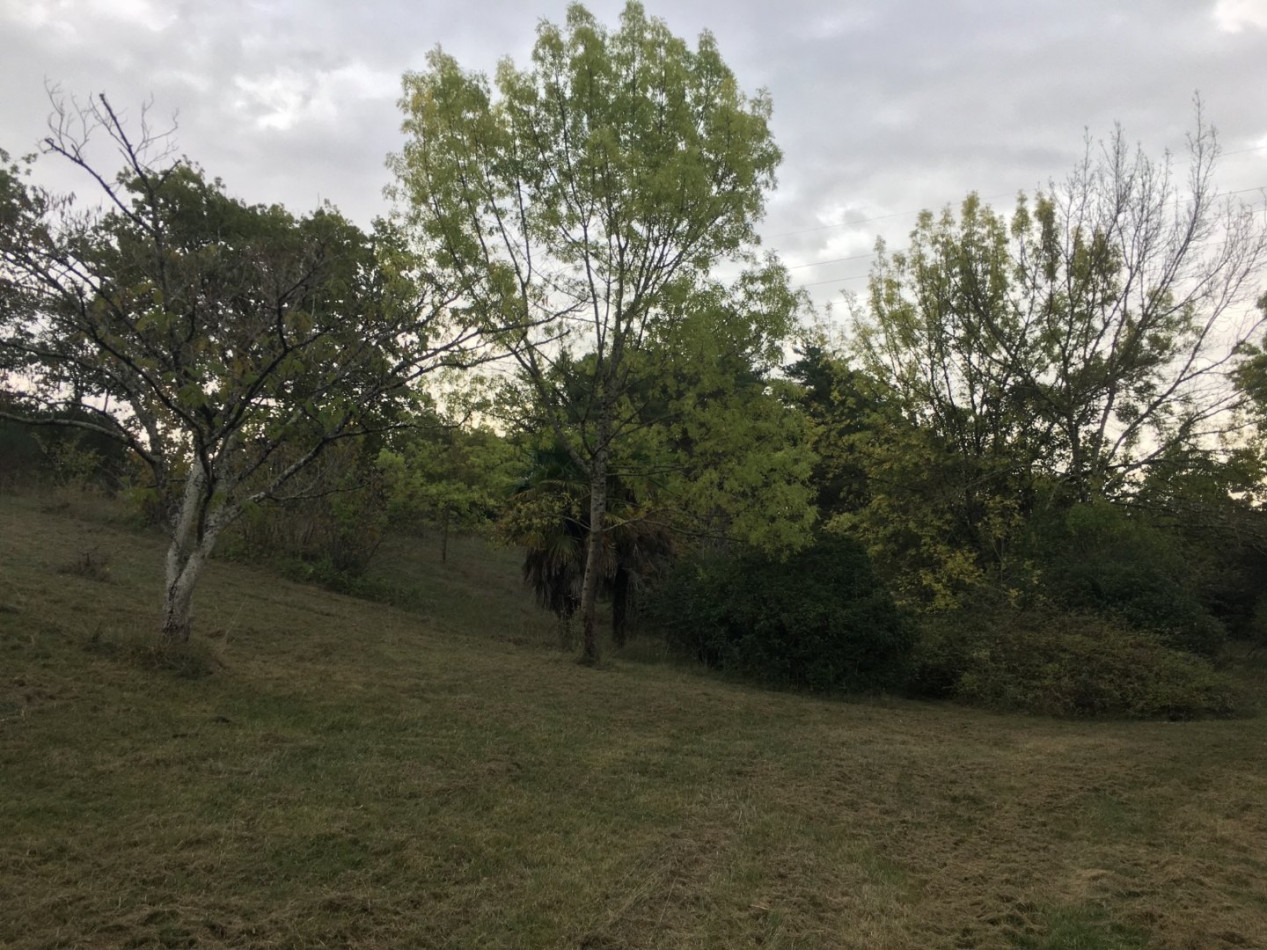 vente Terrain constructible Auch - Photo 2