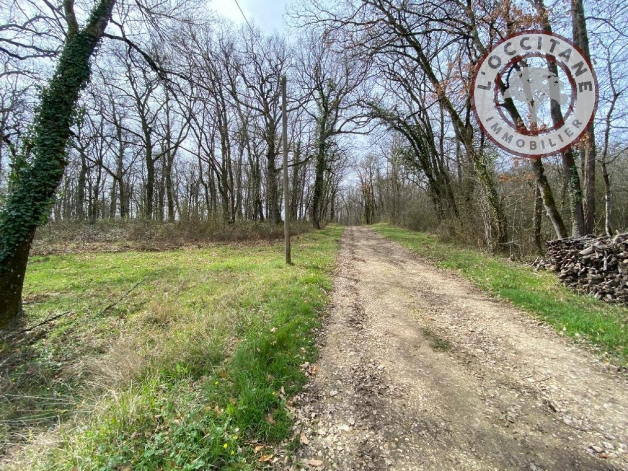 vente Terrain non constructible L'isle-jourdain - Photo 5