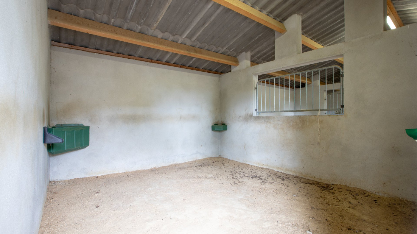 vente Haras / equestre Gimont - Photo 10