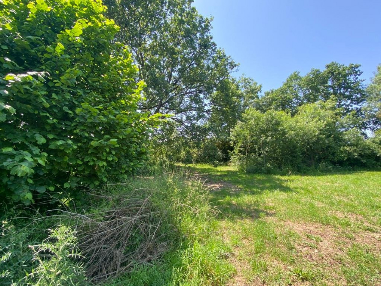 vente Terrain constructible Samatan - Photo 4