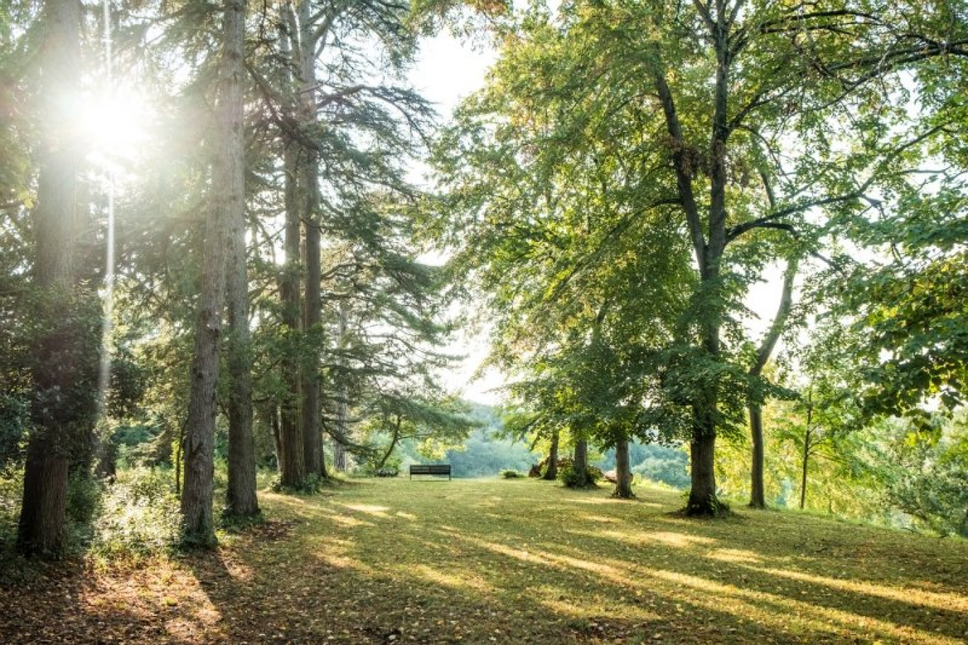 sale Château Samatan - Photo 4