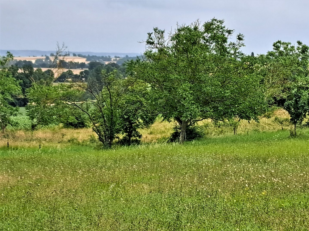 sale Terrain constructible L'isle-jourdain